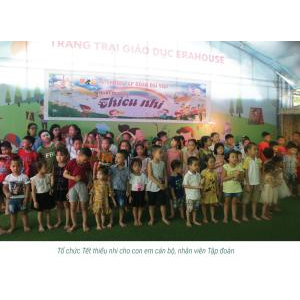 Các hoạt động của công ty